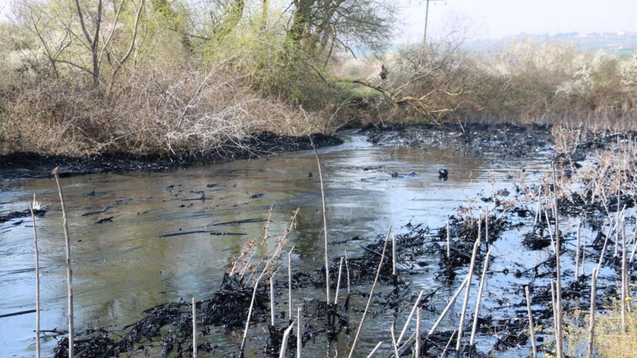 Edirne'de yakıt kazanı patladı: Tonlarca yakıt çevreye yayıldı